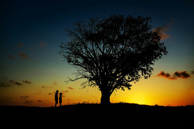 Ilustrasi Sinopsis Cinta Sepenuh Jiwa, Unsplash/Jonathan Borba