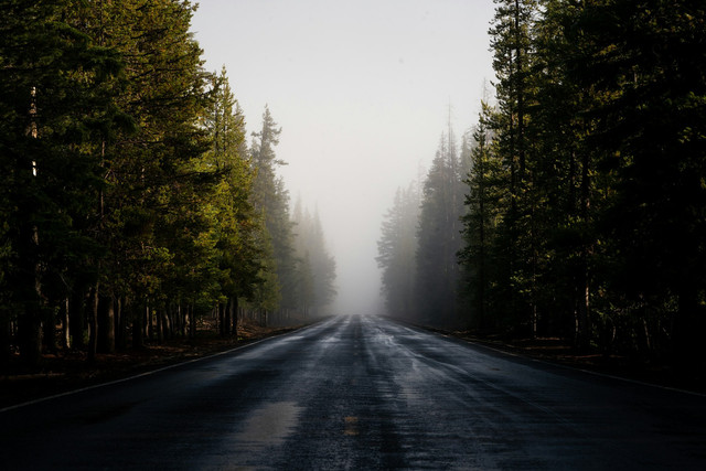 Ilustrasi jalan kerkabut. Foto: Unsplash