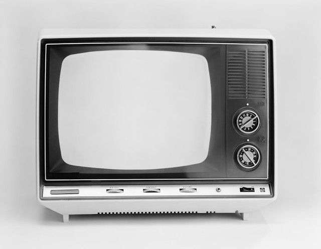 Ilustrasi Indonesian Idol Tayang Setiap Hari Apa, Foto:Unsplash/Getty Images