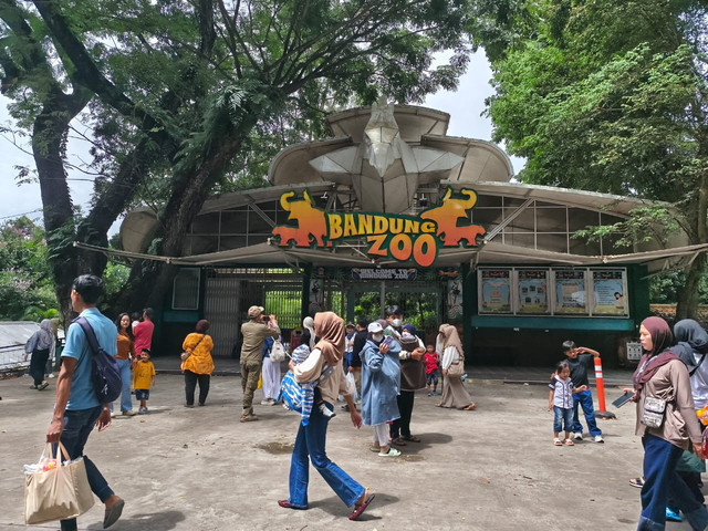 Suasana Bandung Zoo saat dibuka kembali dengan bayar donasi seikhlasnya, Sabtu (27/12). Foto: Linda Lestari/kumparan