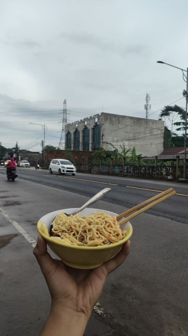 Koleksi Pribadi Penulis