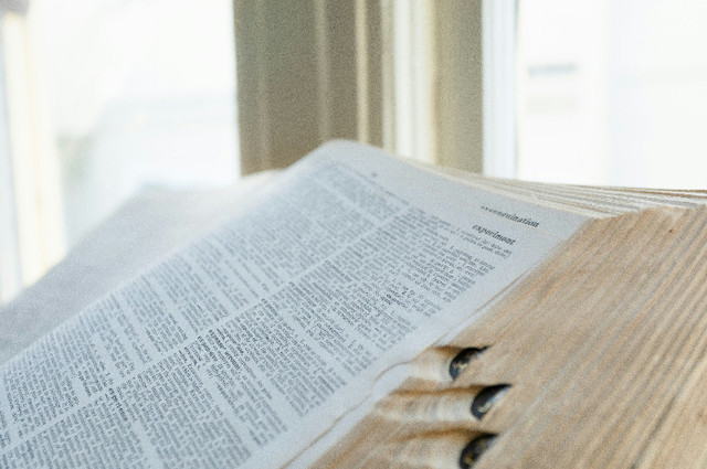 Ilustrasi Materi Kelas 11 Semester 2 Kurikulum Merdeka, Unsplash/Felicia Montenegro