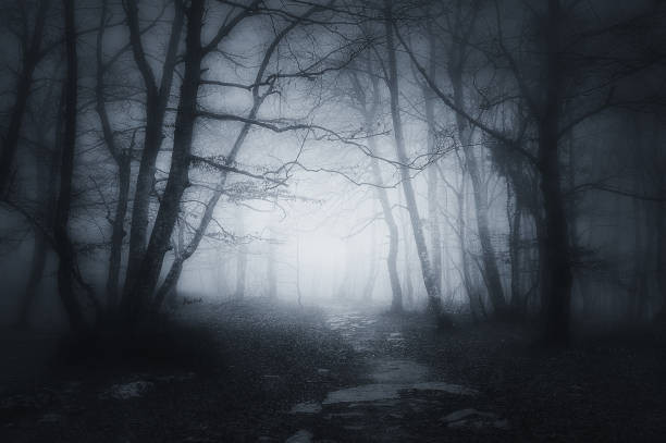 Ilustrasi jurit malam. Foto: https://www.istockphoto.com/photos/creepy-forest