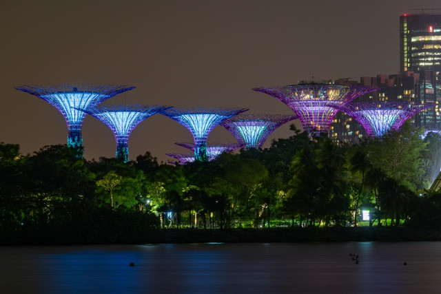 Ilustrasi Hutan Menyala Taman Mini. Foto: Unsplash.com/Timo Volz