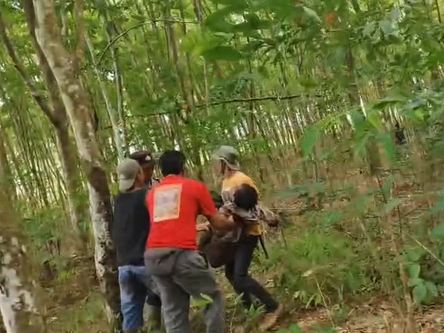 Proses evakuasi Kepala Desa Braja Asri, Kecamatan Way Jepara, Kabupaten Lampung Timur usai diserang gajah liar | Foto : Dok. Ist