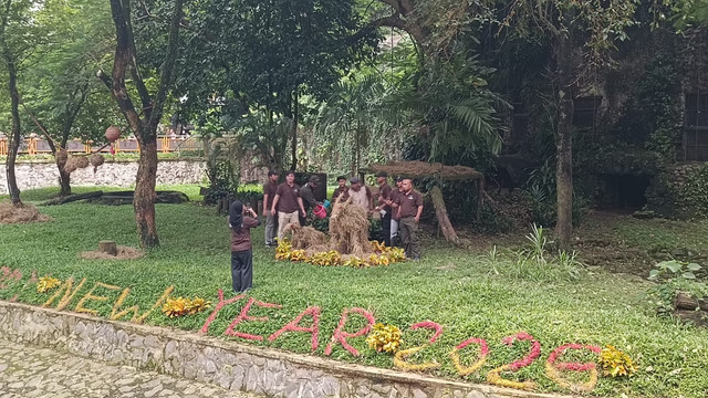 Suasana feeding harimau Sumatera di Taman Margasatwa Ragunan, Jakarta Selatan, Kamis (1/1/2026). Foto: Zamachsyari/kumparan