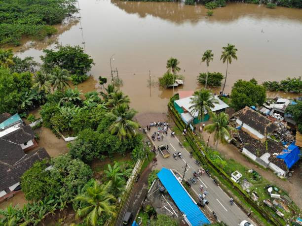 Foto: Ilustrasi banjir (Sumber: Getty Images)