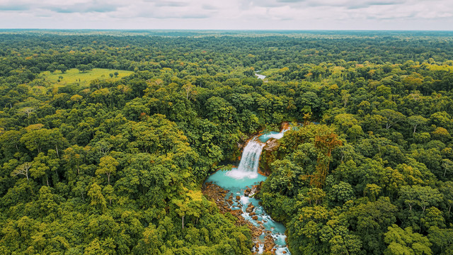 Ilustrasi taman nasional Kosta Rika. Foto: Shutterstock