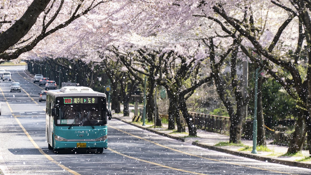 Ilustrasi Spring Fever Drama Tayang Jam Berapa dan di Mana. Foto: Unsplash/ Ji Seongkwang