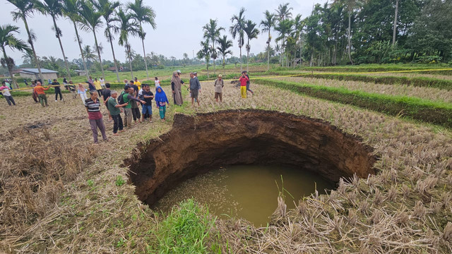 Fenomen sinkhole di tengah sawah di Nagari Situjuh Batuah, Kabupaten Lima Puluh Kota, Sumbar. Foto: Dok. Istimewa