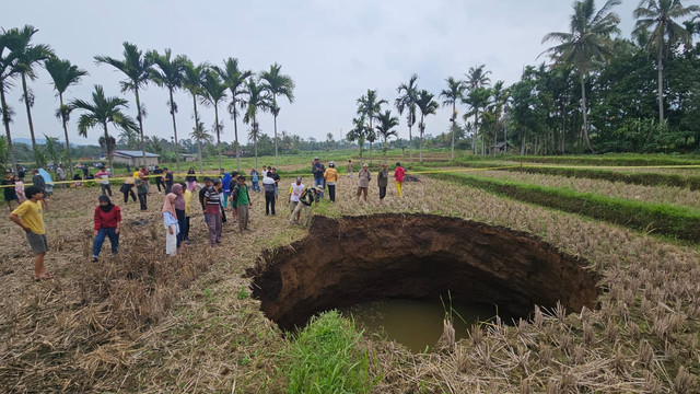 Fenomen sinkhole di tengah sawah di Nagari Situjuh Batuah, Kabupaten Lima Puluh Kota, Sumbar. Foto: Dok. Istimewa