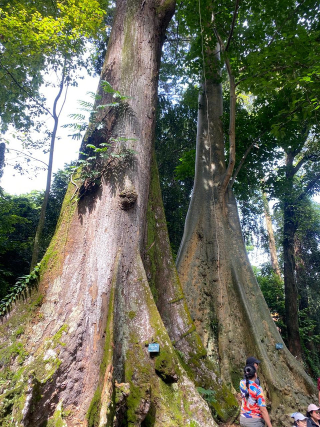 sumber : dokumentasi pribadi