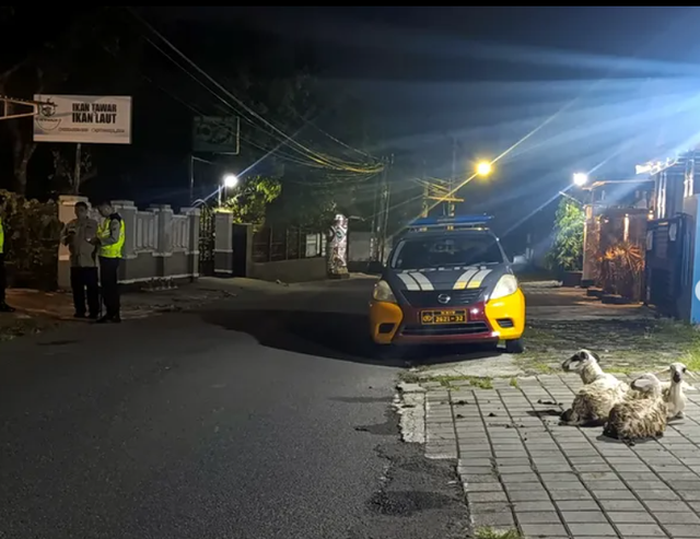 Polisi kejar kambing yang kabur dari kandang di Sleman. Dok Humas Polsek Ngaglik