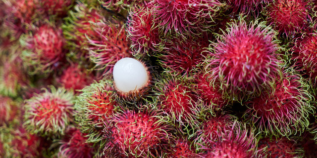 Ilutrasi buah rambutan (freepik)