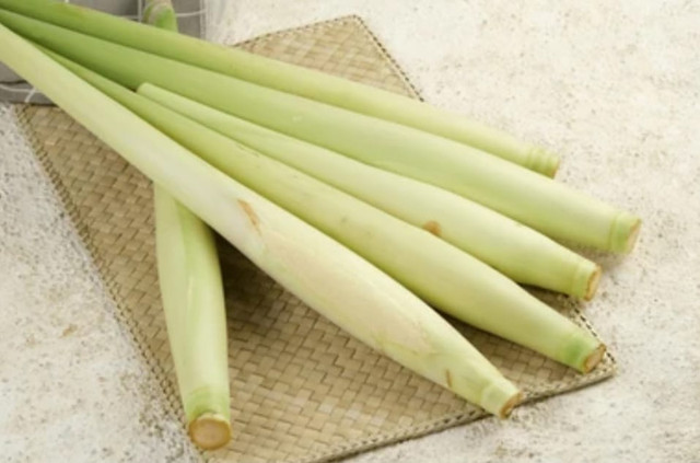 Tebu Telur. Shutterstock