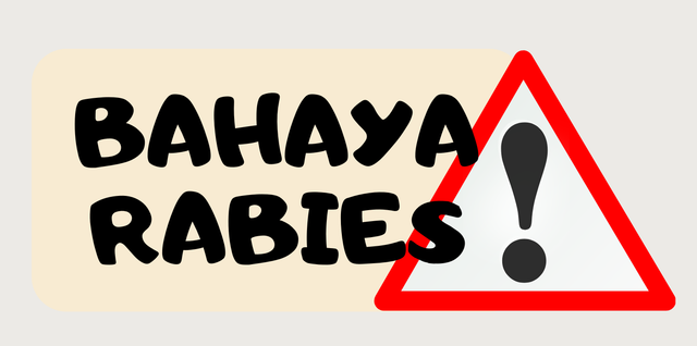 Bahaya Rabies. Sumber: Dokumentasi Pribadi (dibuat dengan Canva)