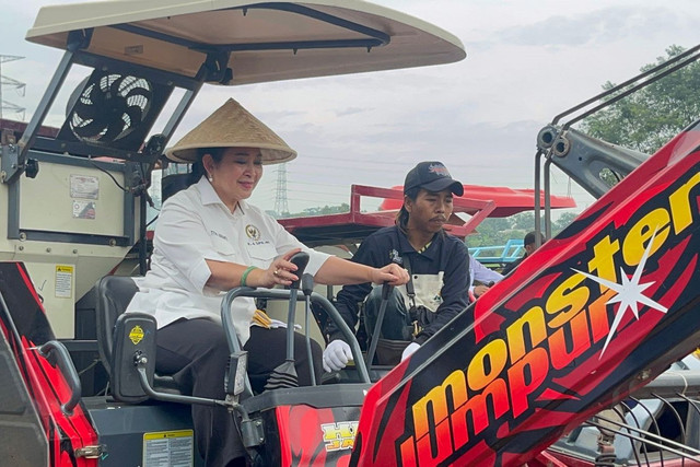 Ketua Komisi IV DPR RI Titiek Soeharto saat panen jagung di Cikarang, Kabupaten Bekasi, Jawa Barat, Kamis (8/1/2026). Foto: Rayyan Farhansyah/kumparan