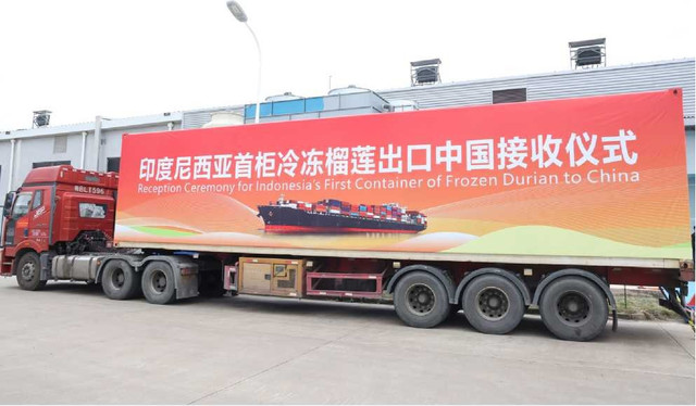 Durian beku asal Indonesia resmi tiba dan diterima di Pelabuhan Qinzhou, Tiongkok, pada 6 Januari 2026. Foto: Dok: Badan Karantina Indonesia 