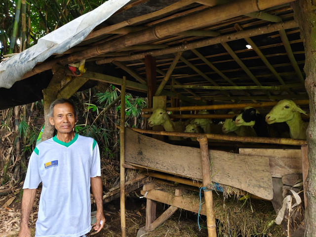 Suyudi di kandang kambingnya di Kabupaten Sleman, Jumat (9/1/2026). Foto: Arfiansyah Panji/kumparan
