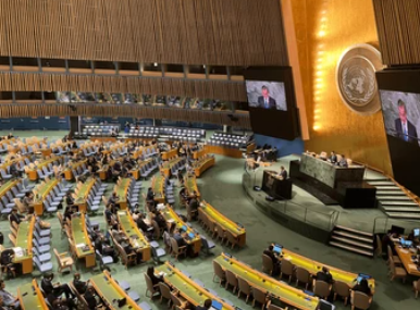 Ilustrasi Proses legislasi dalam pengesahan kerangka penegakan hukum baru. Foto: Shutter Stock