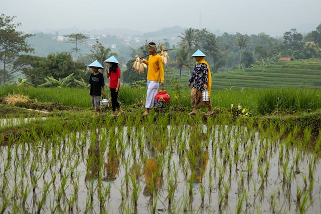 Ilustrasi gizi keluarga petani. Foto: Pexels.