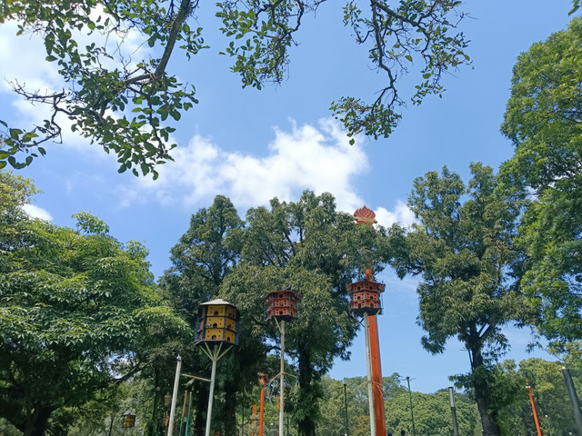 (Dok.Pribadi/Oktavia N) 