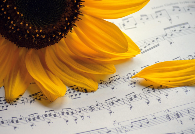 Ilustrasi lirik lagu jauh ko pergi anggi valentia. Sumber: Pixabay/neelam279