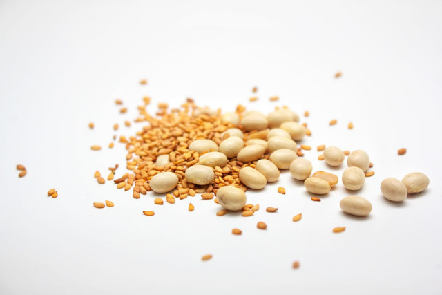 Ilustrasi bagian-bagian biji. Foto: Pexels