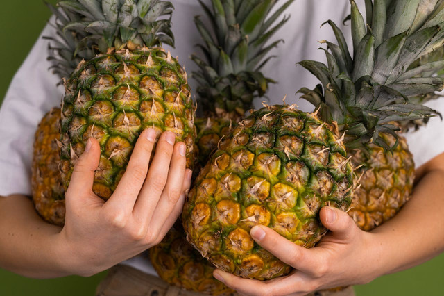 Ilustrasi panen nanas hasil budi daya. Foto: Pexels