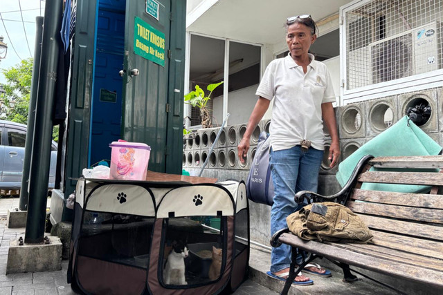 Subae'ah atau Mak Kucing dengan kucing-kucingnya di Kota Lama Semarang. Foto: Intan Alliva/kumparan