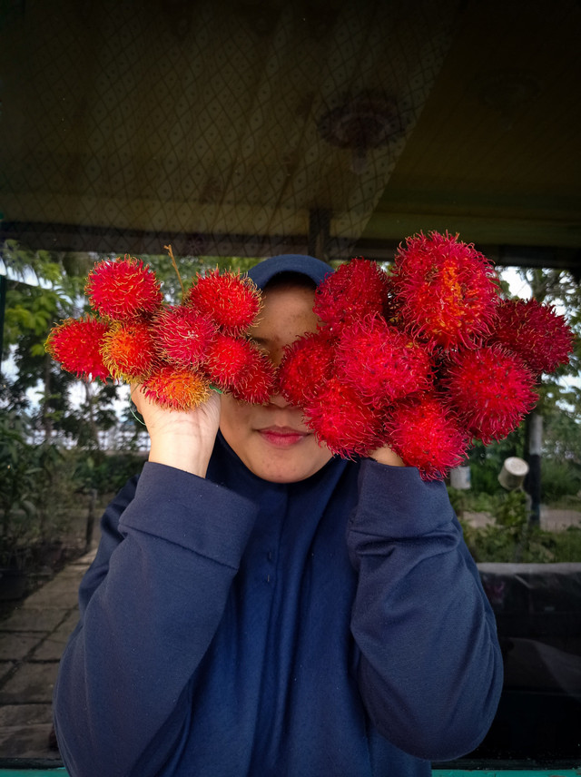 Ilustrasi rambutan antalagi dan rambutan garuda. Foto: Sthsnhh/Shutterstock