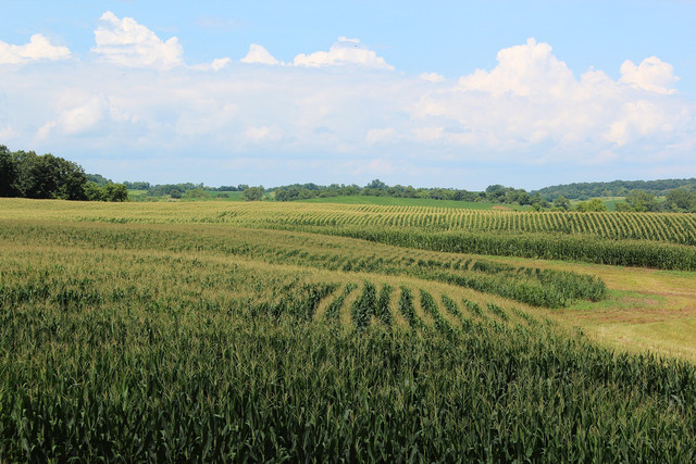 Karunia Allah atas segala ciptaannya. Foto: Pixabay