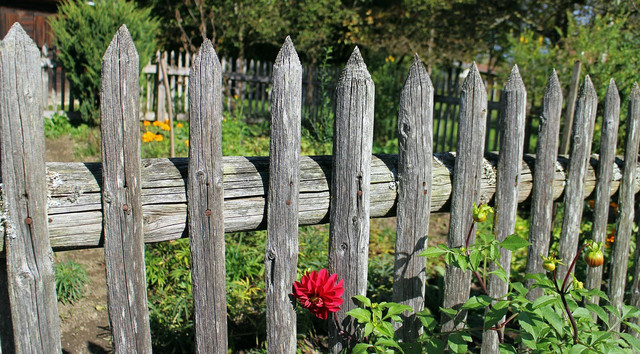 Pagar yang melindungi kebun. Foto: Pixabay