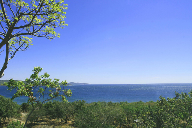 Ilustrasi Kota Kupang. Foto: Pixabay.