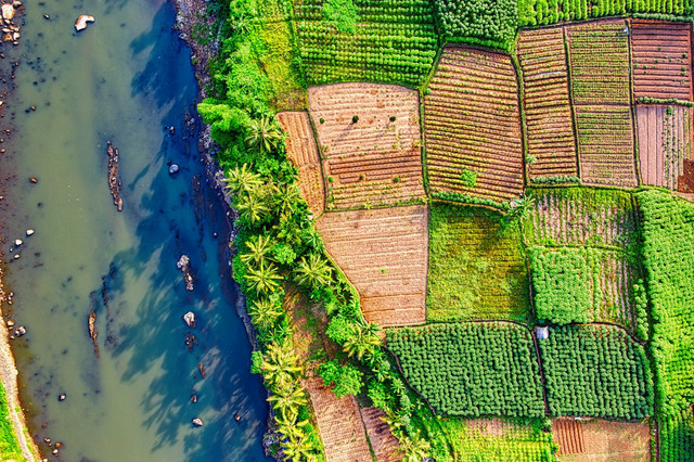 Ilustrasi konsep pemanfaatan lahan pertanian. Foto: Pexels