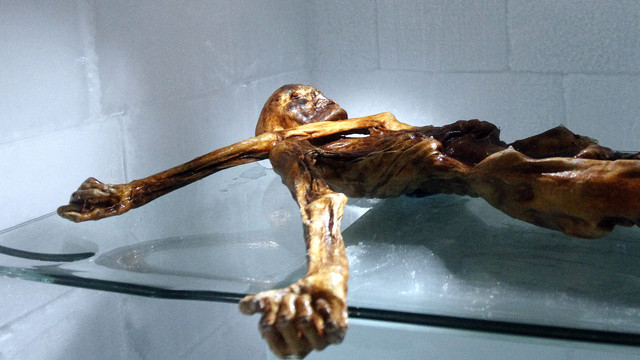 Mumi manusia es bernama Otzi, yang ditemukan pada tahun 1991 di gletser Lembah Schnal Italia. Foto: Andrea Solero/AFP