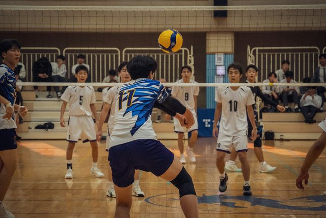 Ilustrasi daftar pemain LavAni Proliga 2026. Foto: Unsplash/HorseRat