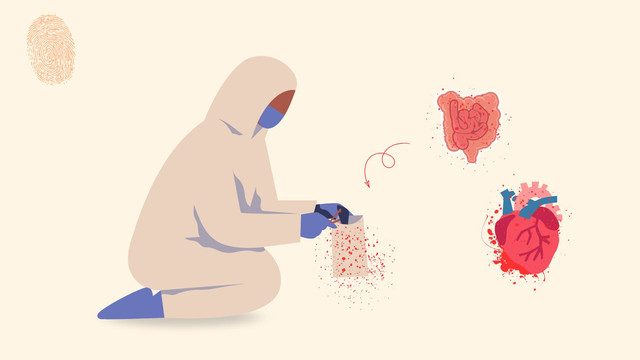 Ilustrasi Pengambilan Organ Manusia (dokumentasi pribadi)