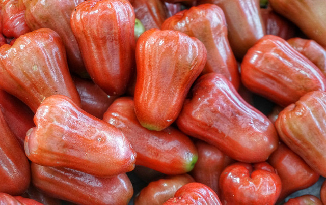 Ilustrasi buah jambu bol. Foto: Pixabay