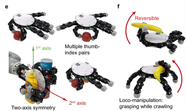 Robot tangan canggih yang bisa lepan dari lengan lalu berjalan seperti laba-laba. Foto Nature Communication/Xiao Gao