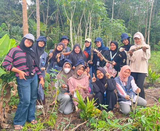 Proses pengambilan bahan baku utama yaitu Ubi