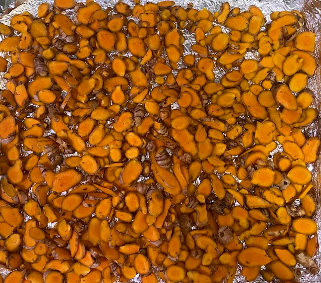 Foto kunyit (Dokumentasi penelitian, 2026)