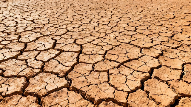 Ilustrasi lahan terdegradasi. Foto: Pixabay