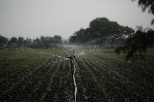 Ilustrasi konservasi air. Foto: Pixabay