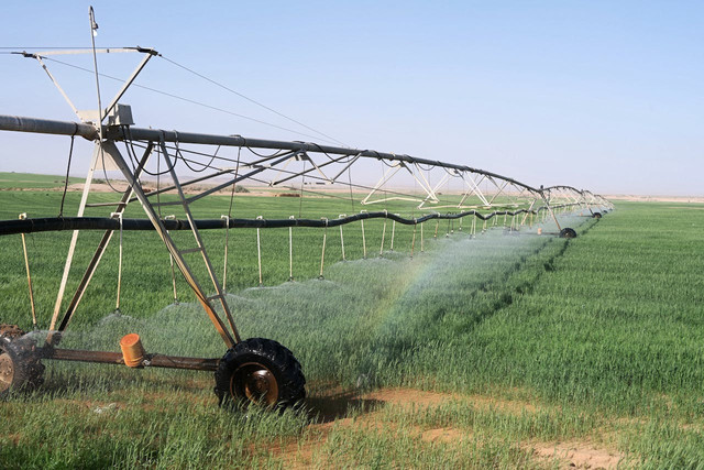 Ilustrasi penyiraman air yang berkualits. Foto: Pexels