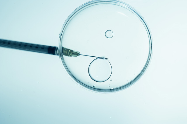 Ilustrasi proses bayi tabung. Foto: Rohane Hamilton/Shutterstock