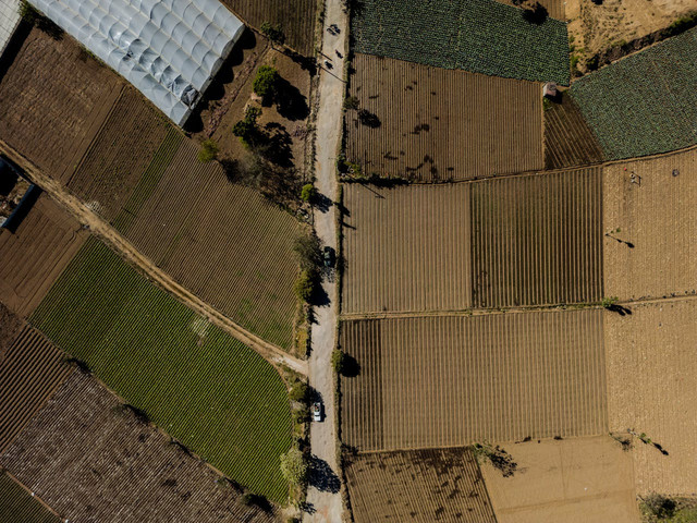 Ilustrasi penerapan rotasi tanaman. Foto: Pexels