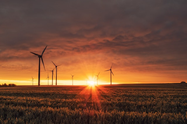Regulasi dan Implementasi Hukum Perusahaan di Sektor Energi Baru Terbarukan. Sumber: unsplash.com