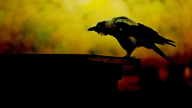 Simbol satanic. Foto: Pixabay