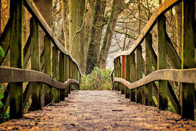 Sebuah jembatan penghubung. Foto: Pixabay